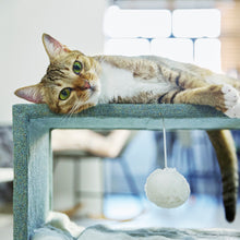 Load image into Gallery viewer, Thaynards Hide ‘n’ Seek cat stool